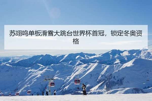 苏翊鸣单板滑雪大跳台世界杯首冠，锁定冬奥资格
