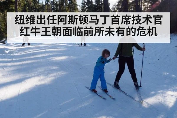 纽维出任阿斯顿马丁首席技术官红牛王朝面临前所未有的危机